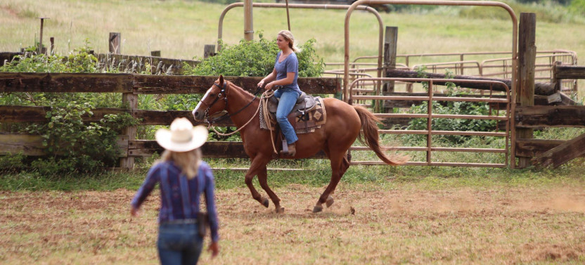 Horsemanship Experiences