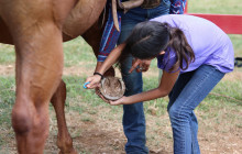 Gunstock Ranch4