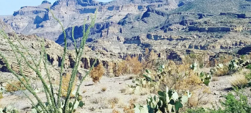 Apache Trail Day Small Group Tour from Phoenix