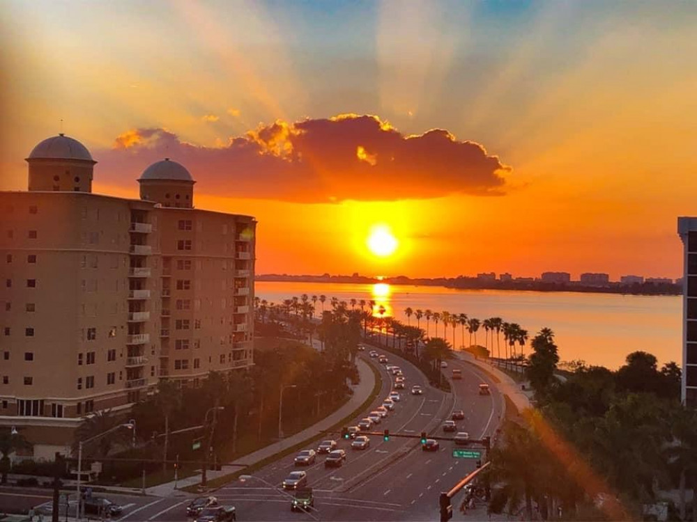 Infamous Sarasota Happy Hour City Trolley Tour Sarasota Project