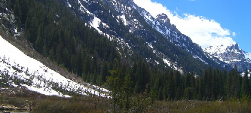 4 Day Yellowstone + Tetons from Salt Lake City - Camping