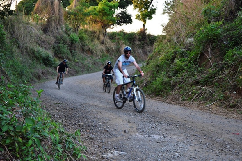 Mountain Biking Down Hill