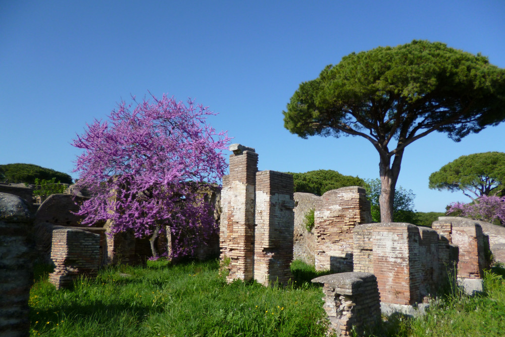 Private Ostia Antica Tour from Rome