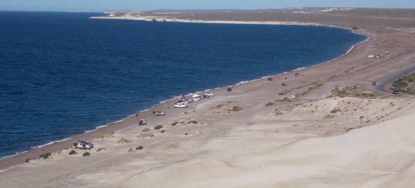 Private Shore Excursion: Puerto Madryn City Tour and Sea Lions