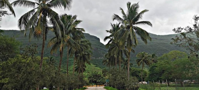 Omani Madhbi Lunch Tour Above The Green Mountains