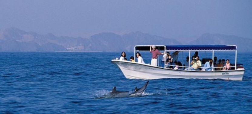 Dolphin Watching & Snorkeling