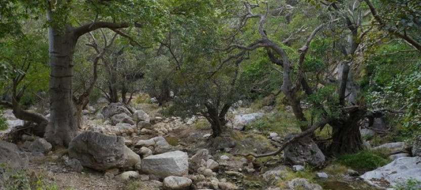 Salalah – Hiking Tour 2 Most Beautiful Valley In Dhofar