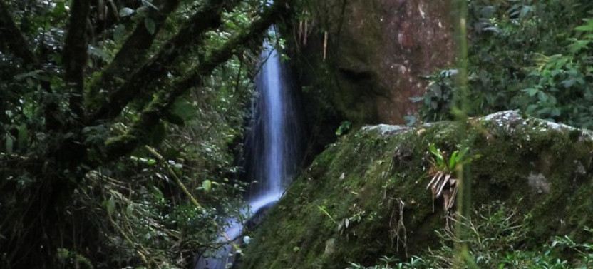 Serra Dos Orgaos National Park – Eco Tour