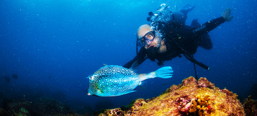 Scuba Diving Rio de Janeiro