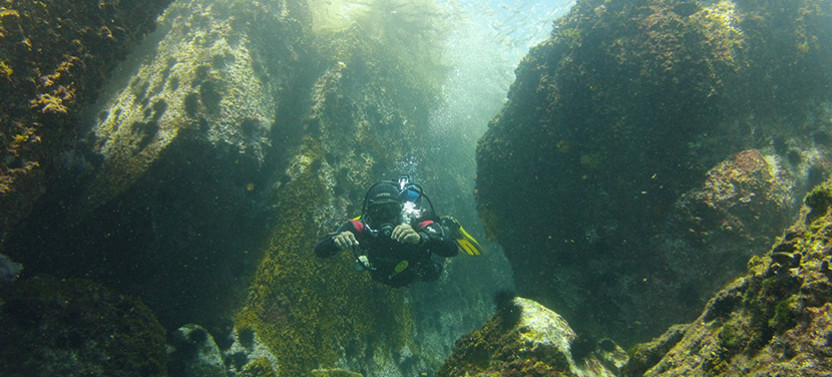 Scuba Diving Rio de Janeiro