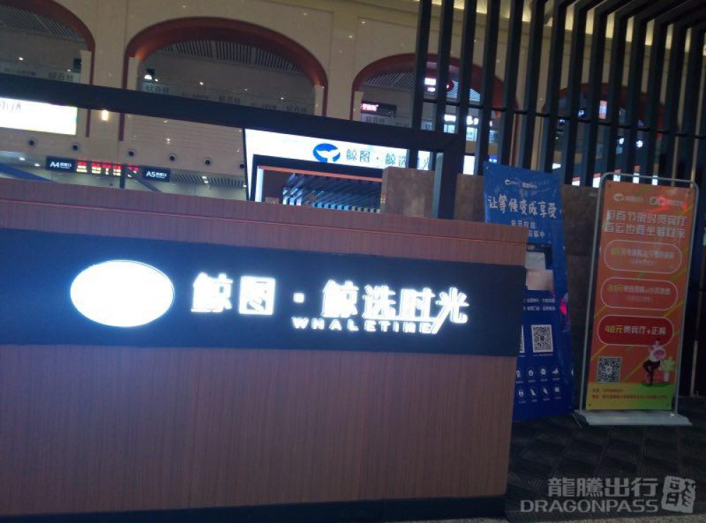 Harbin West Railway Station (018) Flexible Lounge Access