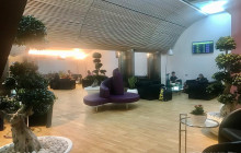 Naples International Airport NAP Flexible Lounge Access Naples