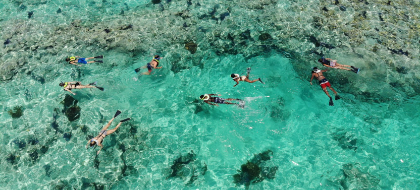 Sunset Reef Snorkel & Sail with Open Bar