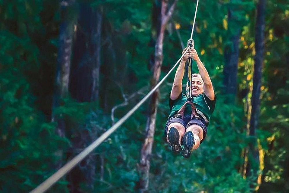 WildPlay Victoria Canopy Zipline Tour Victoria Project Expedition