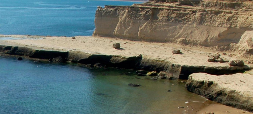 Private Shore Excursion: Peninsula Valdes Day Trip