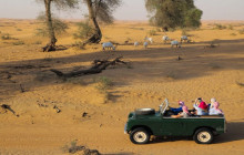 Desert Safari by 1950's Land Rover with Bedouin Camp & Dinner