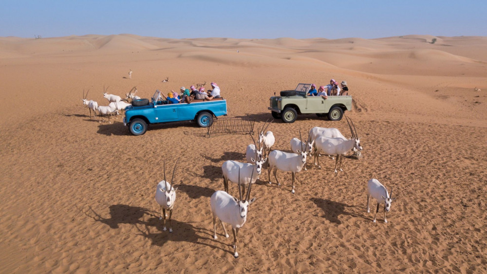 Bedouin Breakfast & Love Lakes Desert Jeep Safari