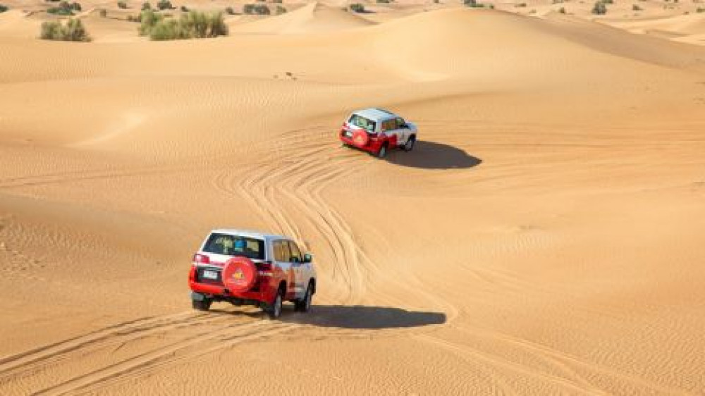 Evening Desert Safari sharing basis - Soft Beverages