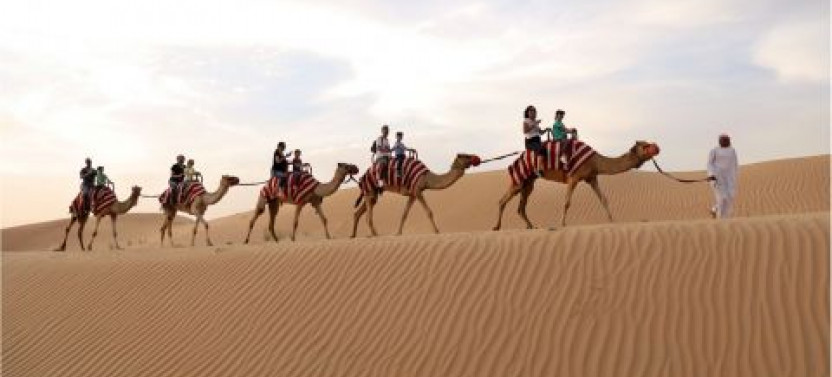 Shared Car Dune Bashing, Sand Boarding, Camelride & Quadbkng