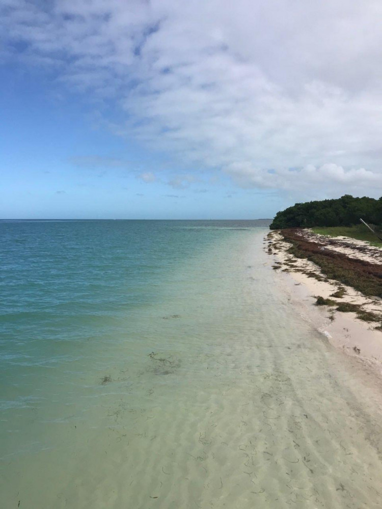 Half day Private Eco Tour on Looking Glass Key West Project Expedition