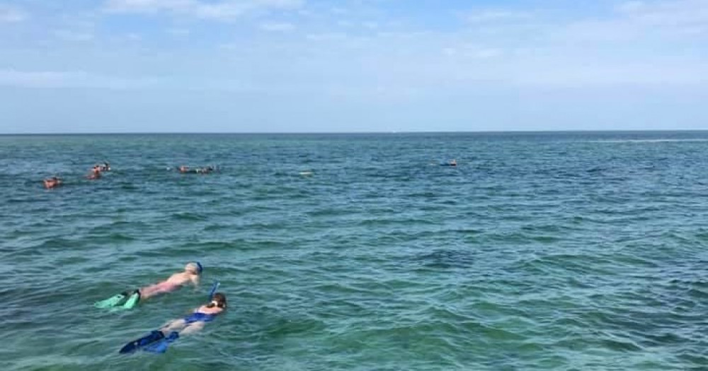 Half day Private Eco Tour on Looking Glass Key West Project Expedition