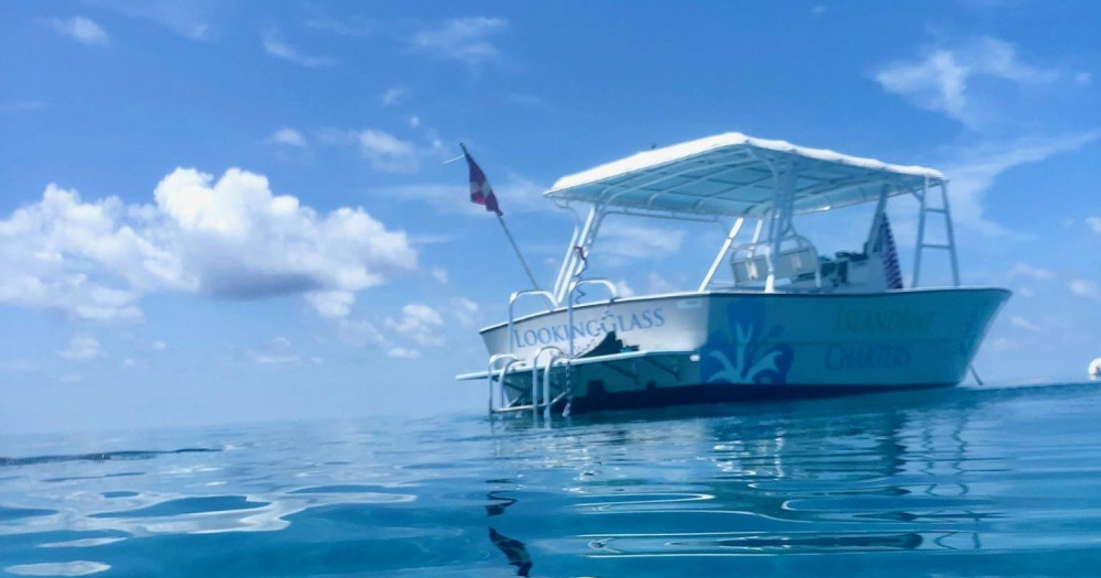 Half day Private Eco Tour on Looking Glass Key West Project Expedition