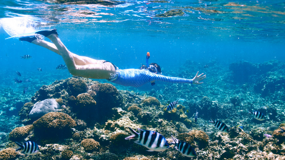 Extreme Snorkel Adventure with Transfers Puerto Morelos Project