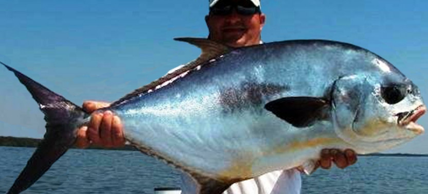 Key Largo Backcountry Fishing Trip - 4 Hr