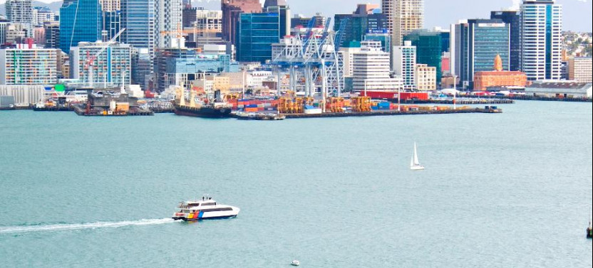 Small Group Auckland City Revealed