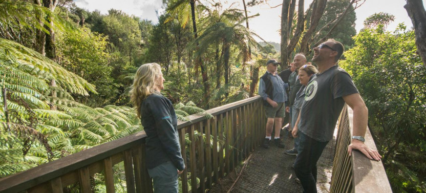 Small Group Wilderness Experience Nature Tour
