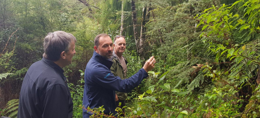 Small Group Coast and Rainforest Walk
