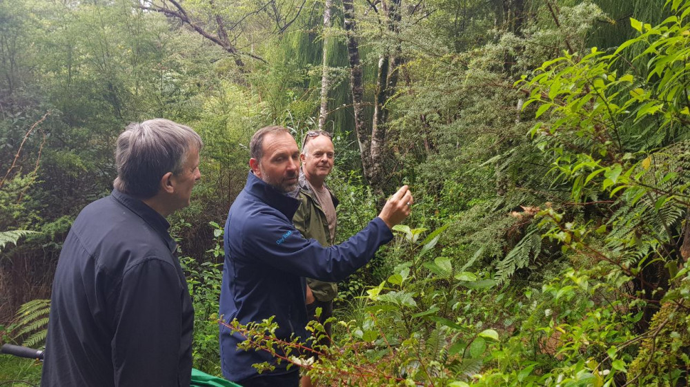 Small Group Coast and Rainforest Walk