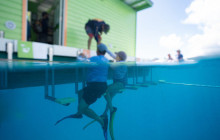 Cruz Bay Watersports7