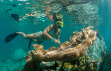 Cruz Bay Watersports99