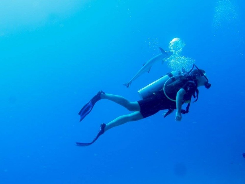 Open Water Diver Course Online