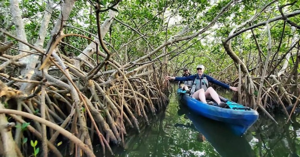 thousand islands mangrove tunnel kayak tour