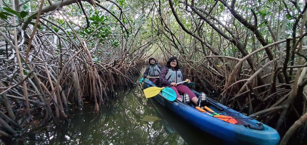 thousand islands mangrove tunnel kayak tour