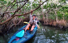 Thousand Islands Mangrove Tunnel & Bioluminescent Sunset Kayak