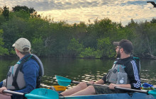 Thousand Islands Mangrove Tunnel & Bioluminescent Sunset Kayak