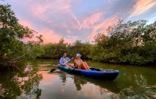 Thousand Islands Mangrove Tunnel & Bioluminescent Sunset Kayak