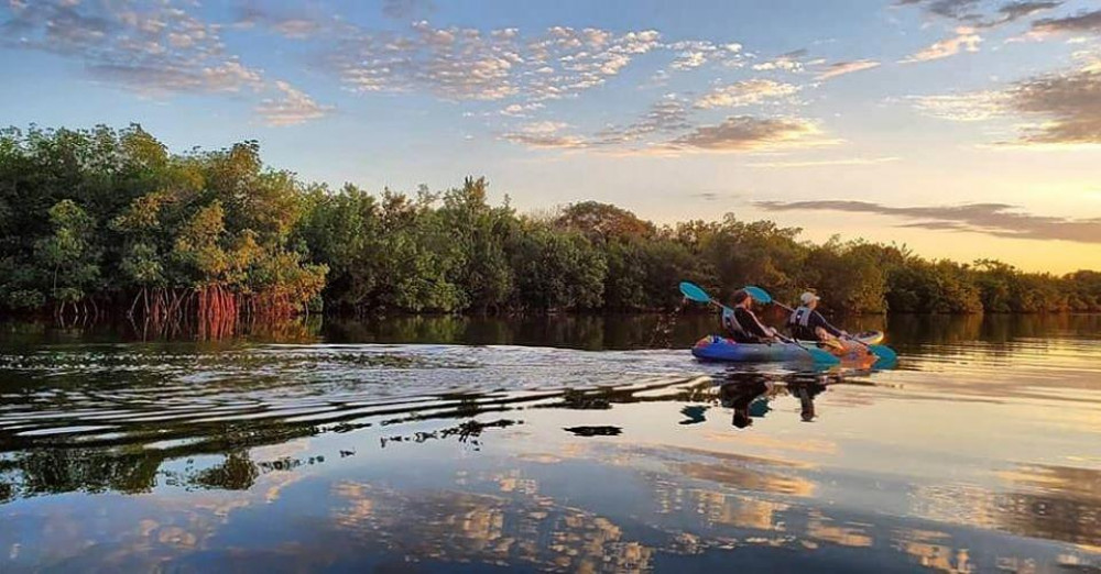 Thousand Islands Mangrove Tunnel & Bioluminescent Sunset Kayak Cocoa