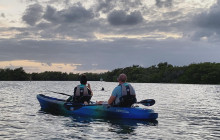 Thousand Islands Mangrove Tunnel & Bioluminescent Sunset Kayak