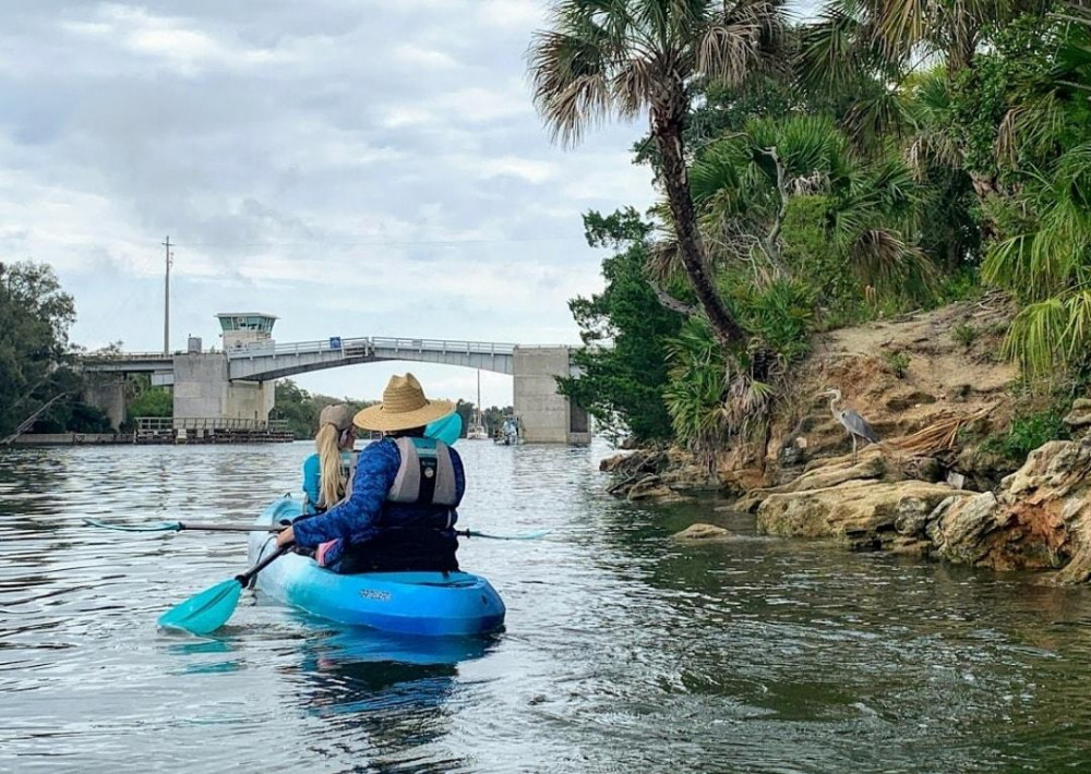 Wildlife Refuge Manatee & Dolphin Kayak or Paddleboard Tour