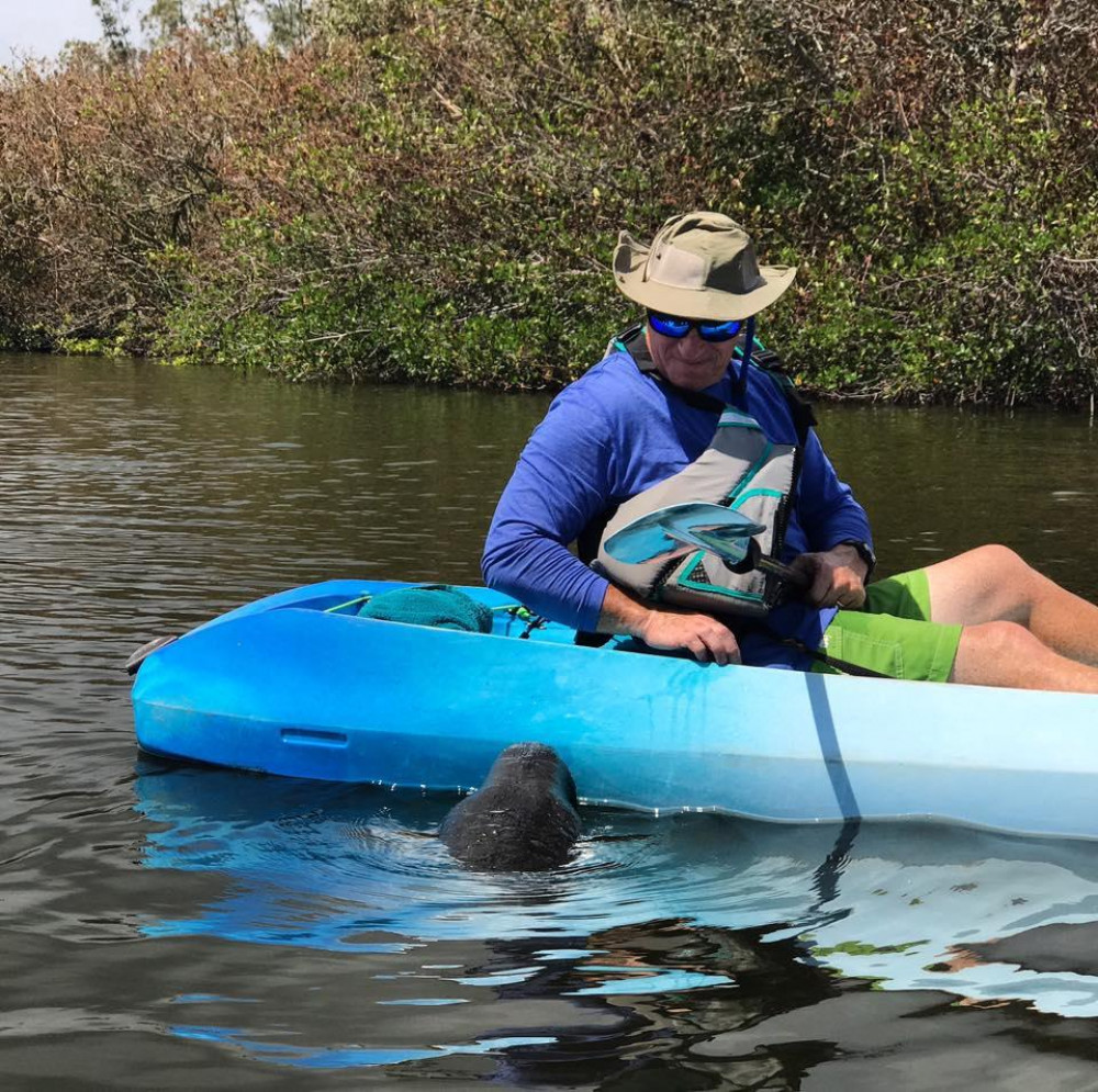 Wildlife Refuge Manatee & Dolphin Kayak or Paddleboard Tour