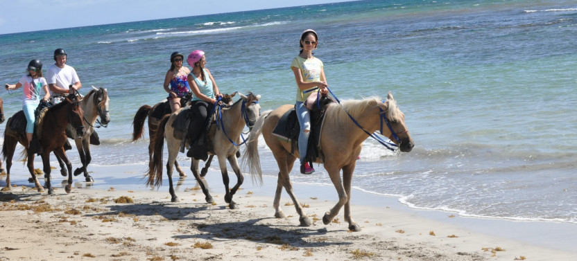 2-Hour Horseback Ride On The Beach