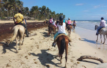 2-Hour Horseback Ride On The Beach