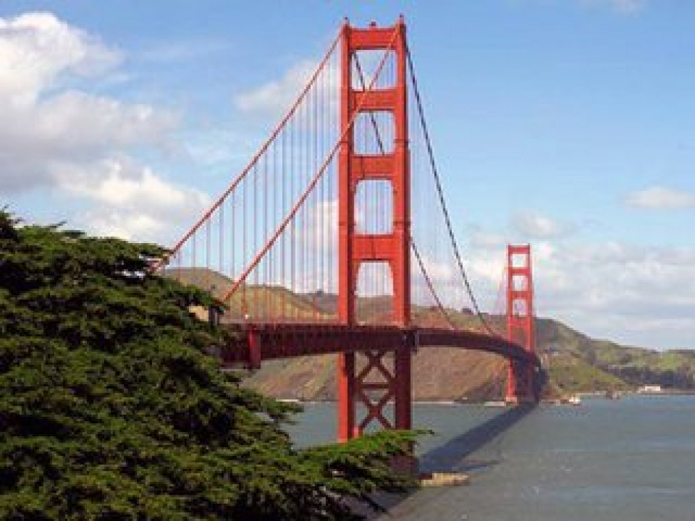 1 Day San Francisco Hop On Hop Off Tour & Night Tour