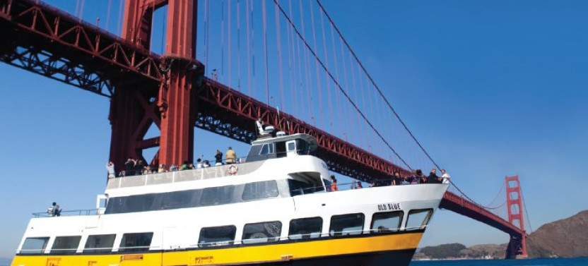 Bus And Boat Adventure: Hop on Hop Off + Bay Cruise