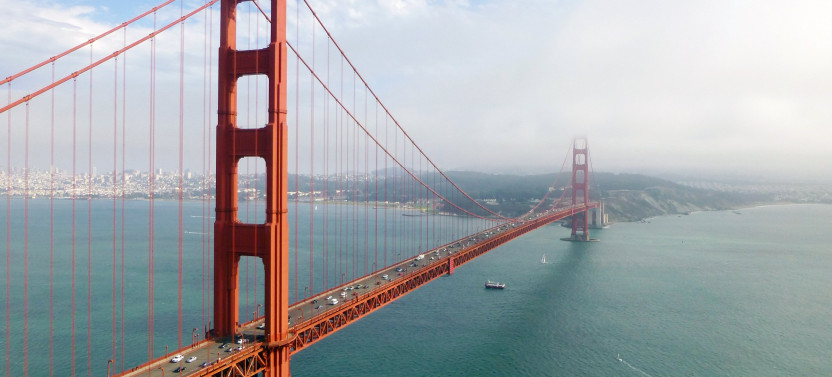 Muir Woods + Sausalito Tour from San Francisco