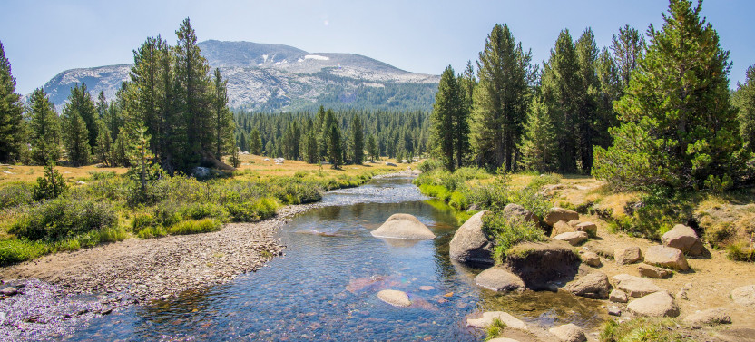 Yosemite National Park Tour from San Francisco